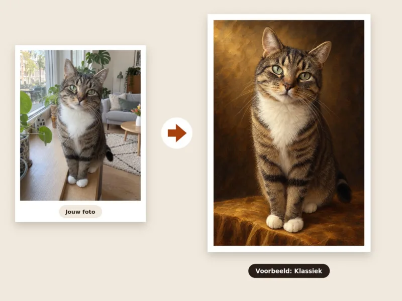 Kattenportret van je eigen foto