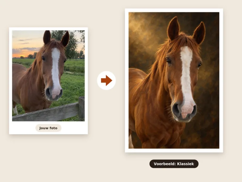 Paardenportret van je eigen foto